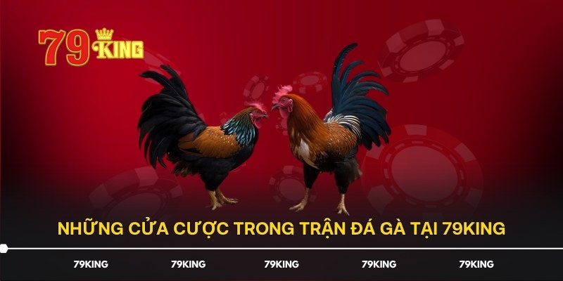 Những cửa cược thú vị tại uy88 giúp bạn tăng trải nghiệm